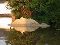 Hochwasser (219)